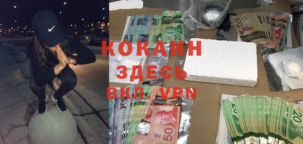 прущие грибы Кукмор