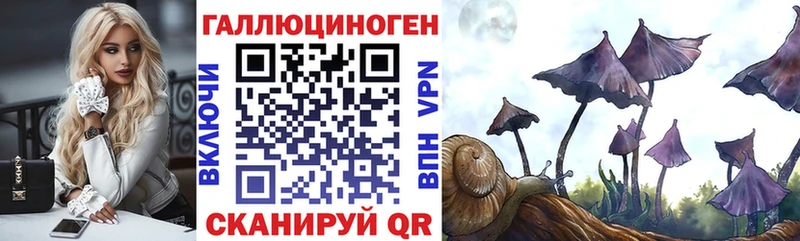 Галлюциногенные грибы прущие грибы  Шенкурск 